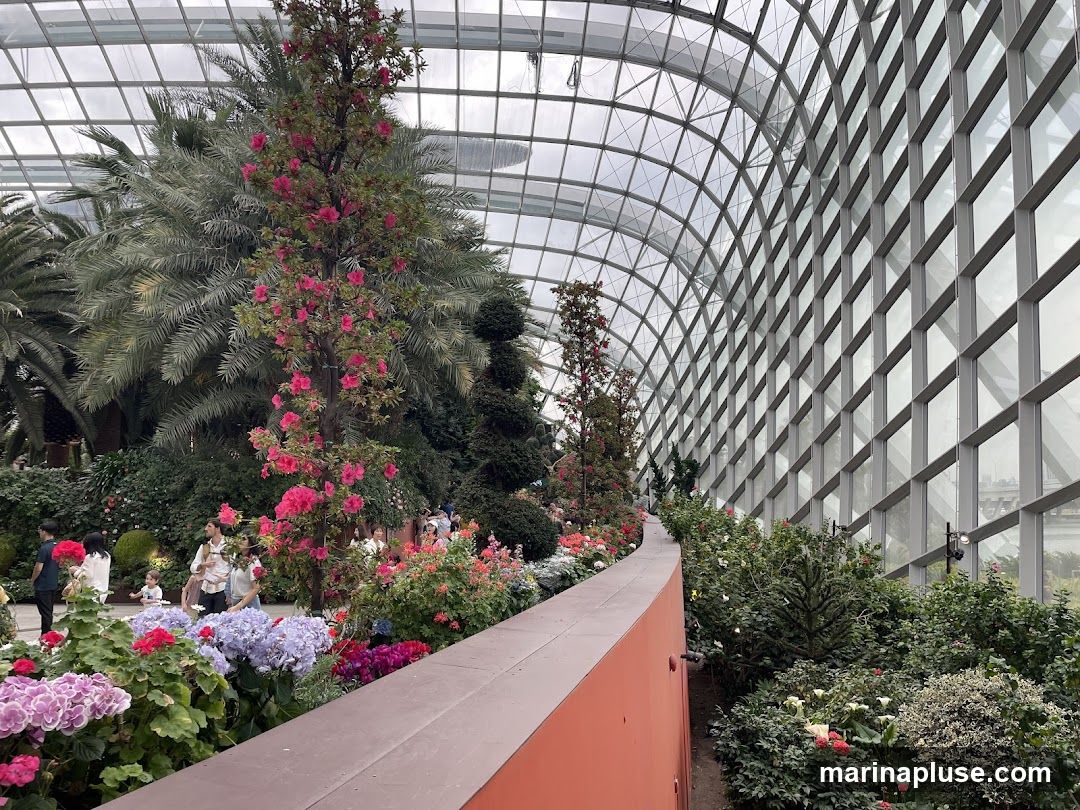 An indoor botanical garden with a curved glass ceiling. Lush greenery, including palm trees and flowering plants like azaleas and hydrangeas, fills the space. Several people are visible walking among the plants.