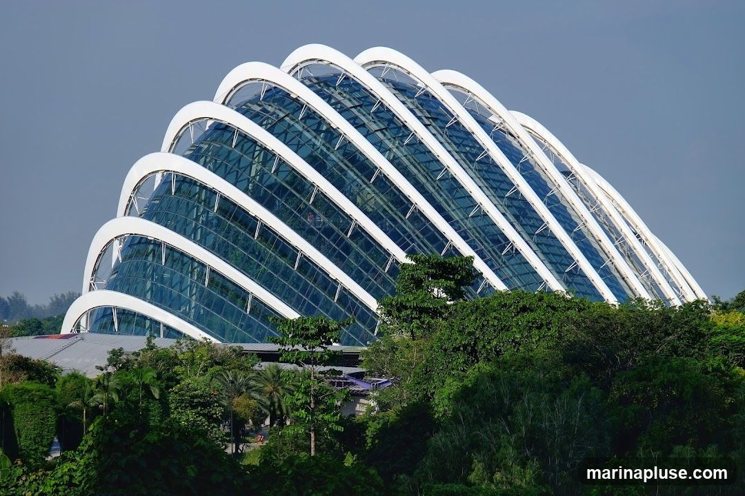 A large, modern conservatory with a distinctive curved roof structure made of glass and white beams. Lush green trees and foliage surround the base of the building. The sky is overcast.