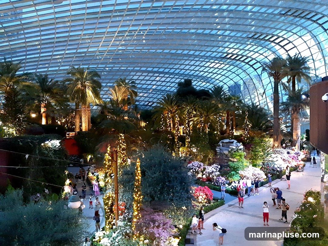 An indoor botanical garden with a glass roof, featuring various palm trees, lush greenery, and colorful flower displays. People are seen walking along pathways, admiring the scenery. The area is illuminated with artificial lights, creating a warm and inviting atmosphere.
