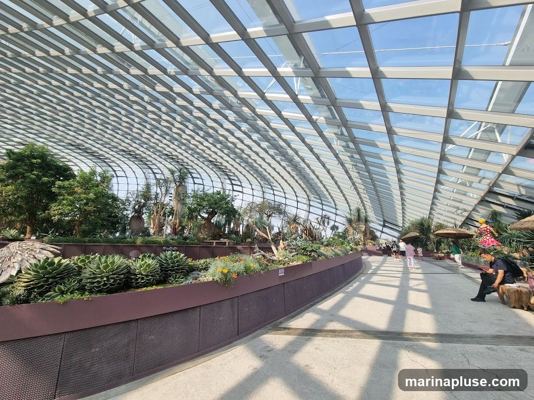 A wide pathway curves through a large indoor botanical garden with a geodesic glass roof. Lush greenery, including various succulents and trees, is displayed in raised planters. Several people are walking along the path, and one person is sitting on a wooden bench. The sunlight streams through the glass roof, casting shadows on the floor.