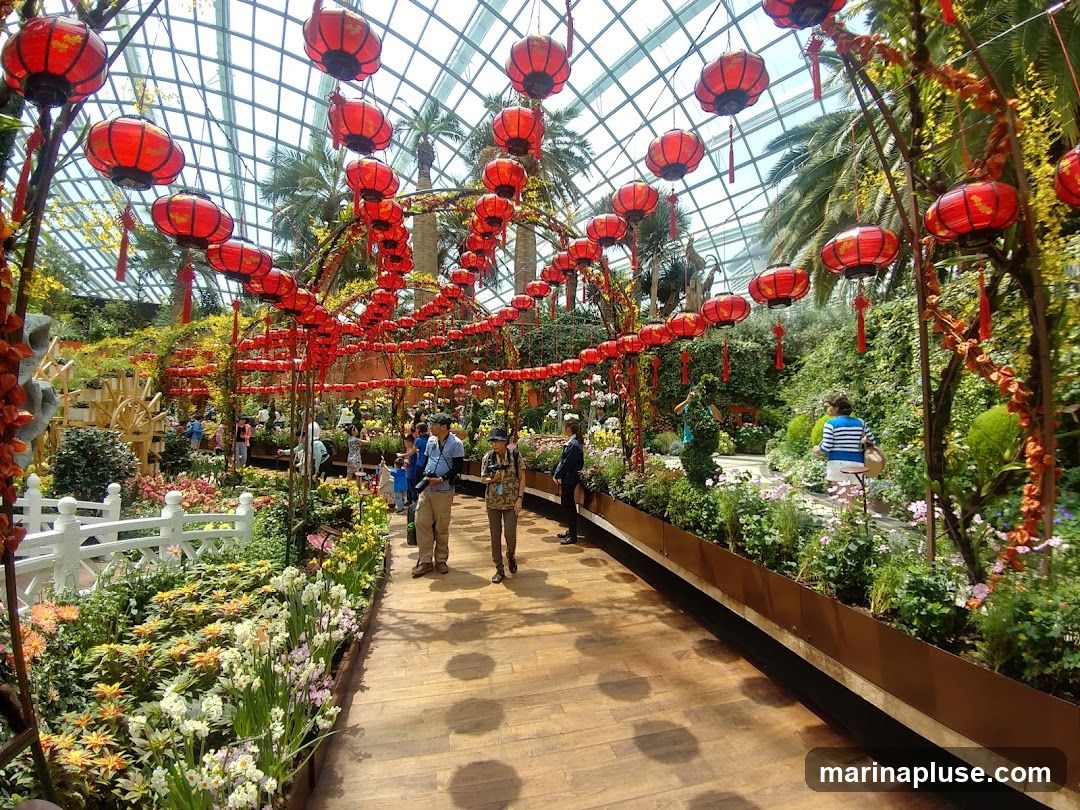 A walkway through a lush garden display, adorned with numerous red lanterns hanging from above. The garden features a variety of colorful flowers and plants, with palm trees visible in the background under a glass-paneled roof. Several people are strolling along the path, admiring the scenery.