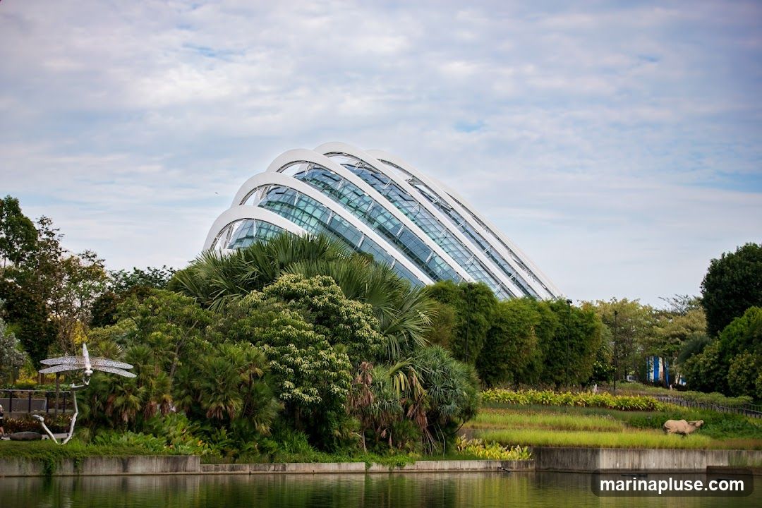 A view of the Cloud Forest dome at Gardens by the Bay, Singapore, with lush greenery and a body of water in the foreground. The dome features a distinctive curved roof structure with glass panels. A metal dragonfly sculpture is visible on the left side of the image.