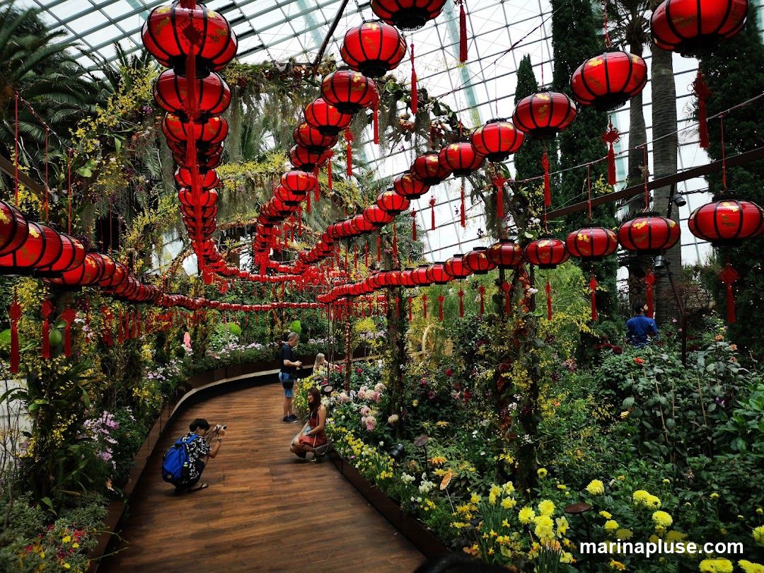 A lush garden pathway lined with vibrant flowers and greenery, adorned with numerous red lanterns hanging overhead. Several people are seen walking and taking photos along the path. The scene is illuminated by natural light filtering through a glass ceiling.