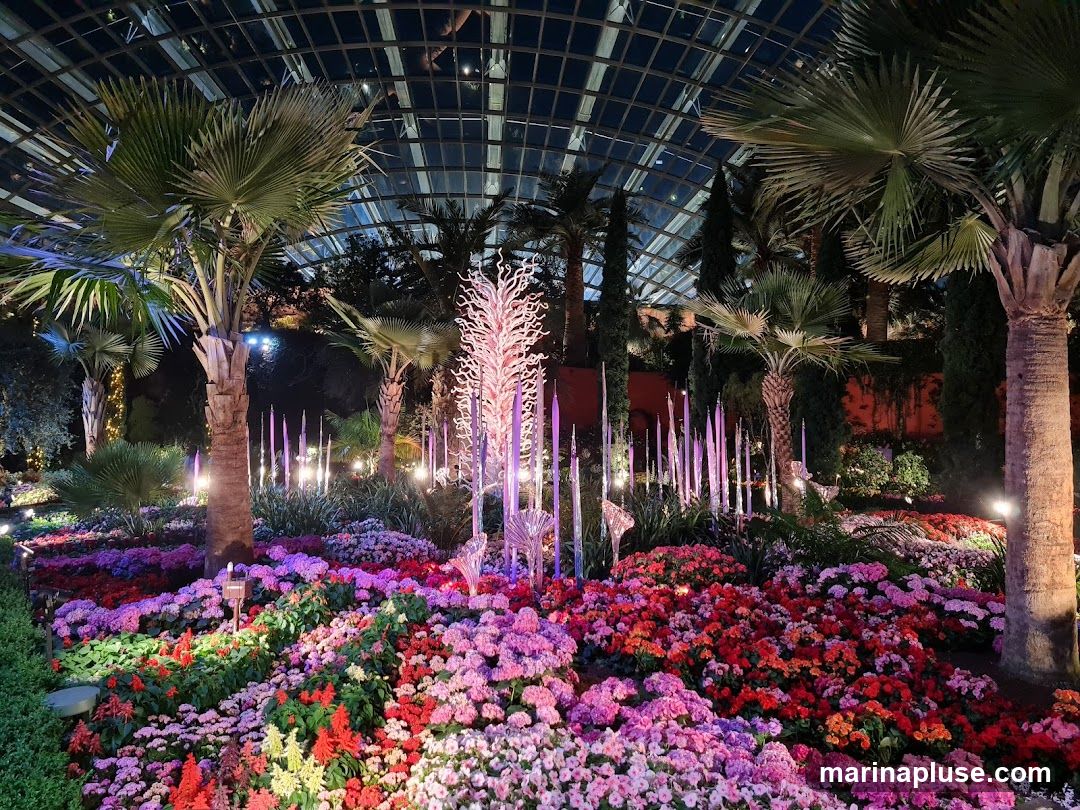 A vibrant display of colorful flowers and palm trees under a glass dome at night. The flowers are arranged in dense beds, showcasing shades of pink, red, and purple. Tall, slender glass sculptures and palm trees are interspersed throughout the garden, illuminated by soft, ambient lighting. The ceiling of the dome is visible, reflecting the lights and creating a magical atmosphere.