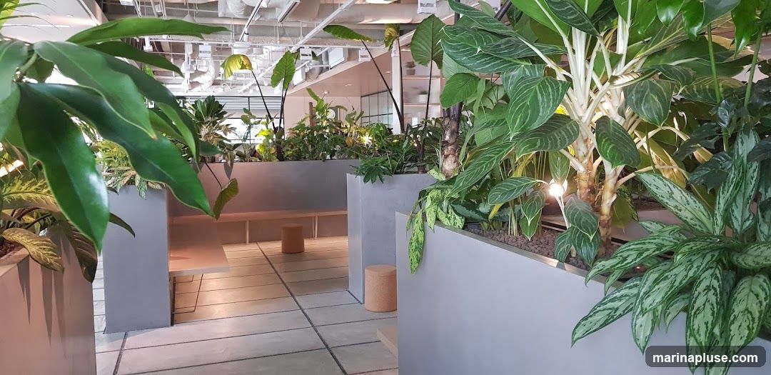 A modern interior space with numerous lush green plants in grey planters. The planters are arranged to create partitions and define seating areas. Visible are light-colored benches and cylindrical stools. The ceiling features exposed industrial elements like pipes and ventilation systems. The overall ambiance is serene and natural, suggesting a cafe, lounge, or office space designed with biophilic elements.