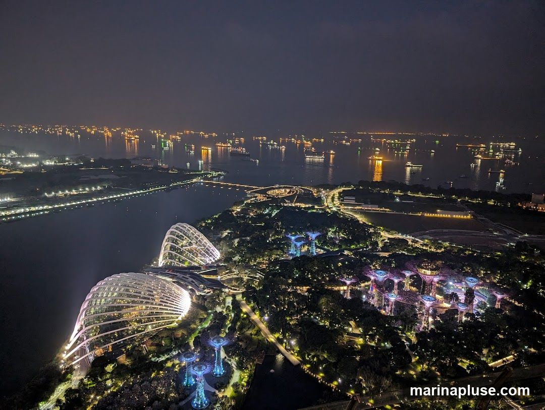 An aerial view at night shows the illuminated domes of Gardens by the Bay, with its distinctive Supertree Grove glowing with purple lights. The Singapore harbor is visible in the background, dotted with numerous ships and their lights reflecting on the water. The city skyline and a bridge connecting to the mainland are also illuminated.