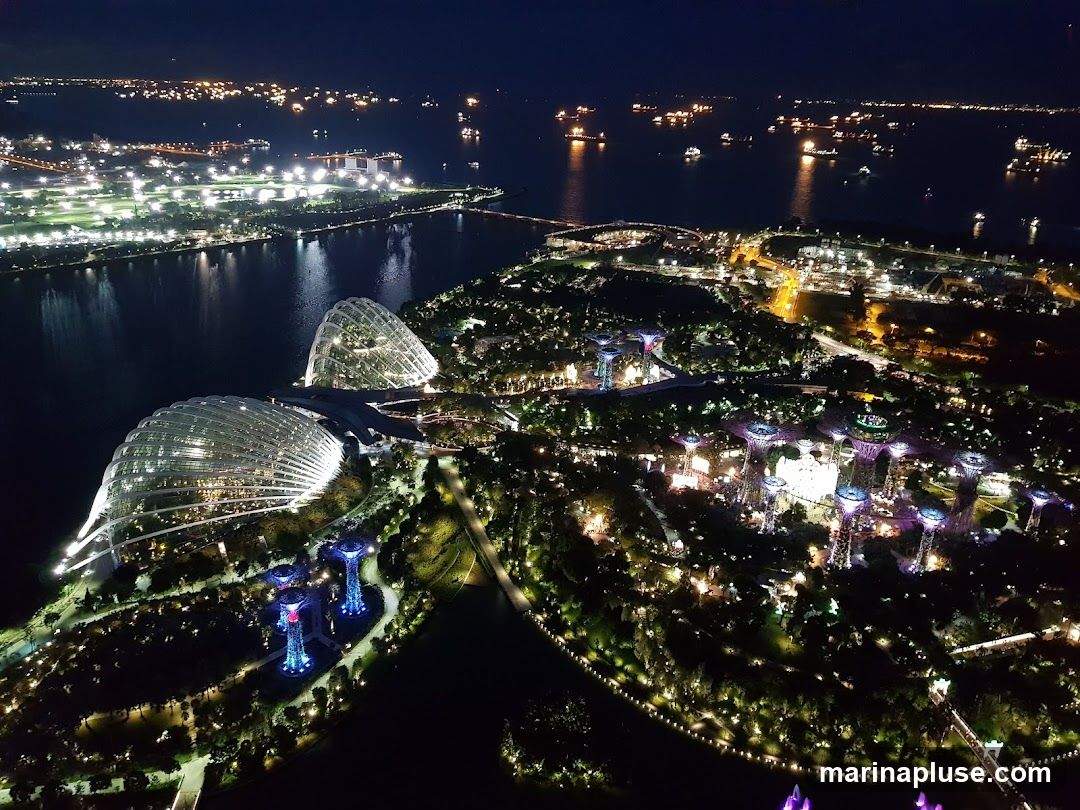 An aerial view of Gardens by the Bay in Singapore at night. The illuminated Supertree Grove and the domes of the Cloud Forest and Flower Dome are visible, surrounded by lush greenery. In the background, the city skyline and a busy shipping lane with numerous boats are lit up.