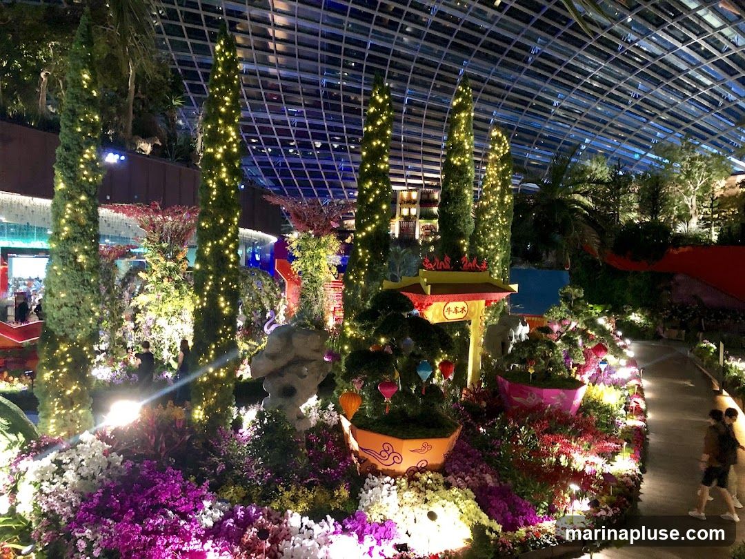 A beautifully lit garden display with numerous plants and trees adorned with fairy lights. In the center, a small, ornate yellow archway with red accents stands, featuring Chinese characters. Lanterns hang from some of the trees. The scene is set within a large, glass-domed structure, suggesting an indoor botanical garden or exhibition. Several people are visible walking along a path on the right side of the image.