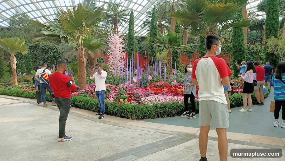 A group of people are seen walking and taking photos in a large, glass-enclosed conservatory filled with lush greenery and a vibrant flower display. The display features a variety of colorful flowers in shades of pink, red, and purple, along with tall, slender glass sculptures and palm trees. Several individuals are wearing face masks.