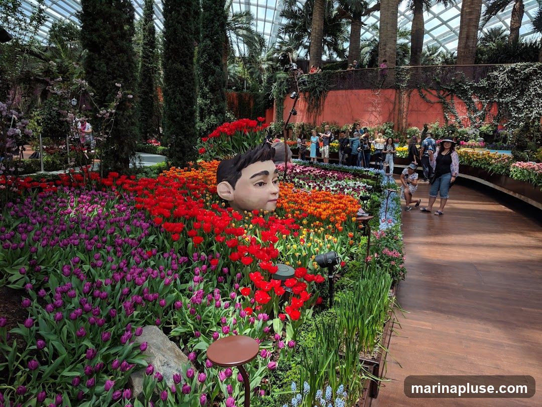 A vibrant display of tulips in shades of purple, red, and orange, with a large, realistic sculpture of a human head emerging from the flowers. In the background, people are walking along a wooden pathway in a greenhouse with a glass ceiling and palm trees.