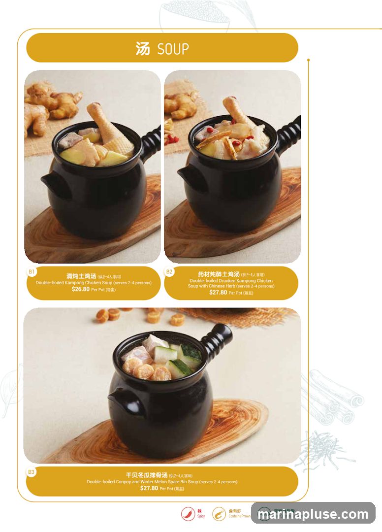 Menu section featuring various double-boiled soups.