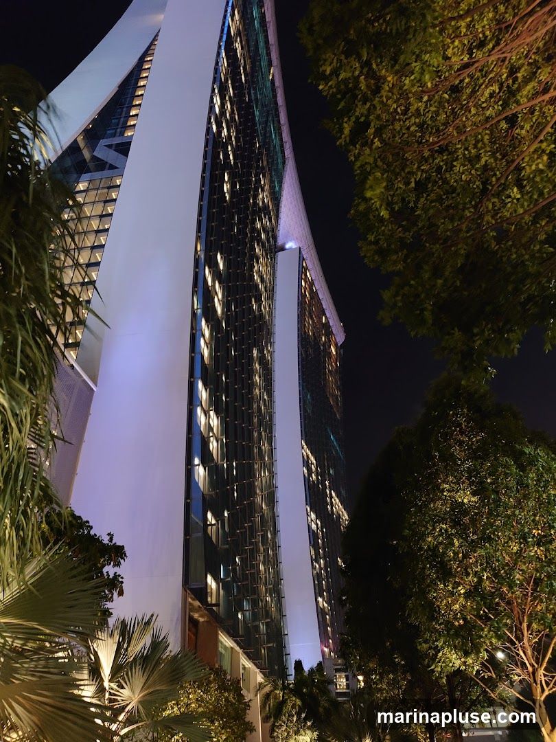 A low-angle shot of a modern skyscraper at night, illuminated by interior lights and accent lighting. Lush green trees and palm fronds frame the building, creating a contrast between nature and architecture. The sky is dark, highlighting the illuminated windows and the sleek design of the building.