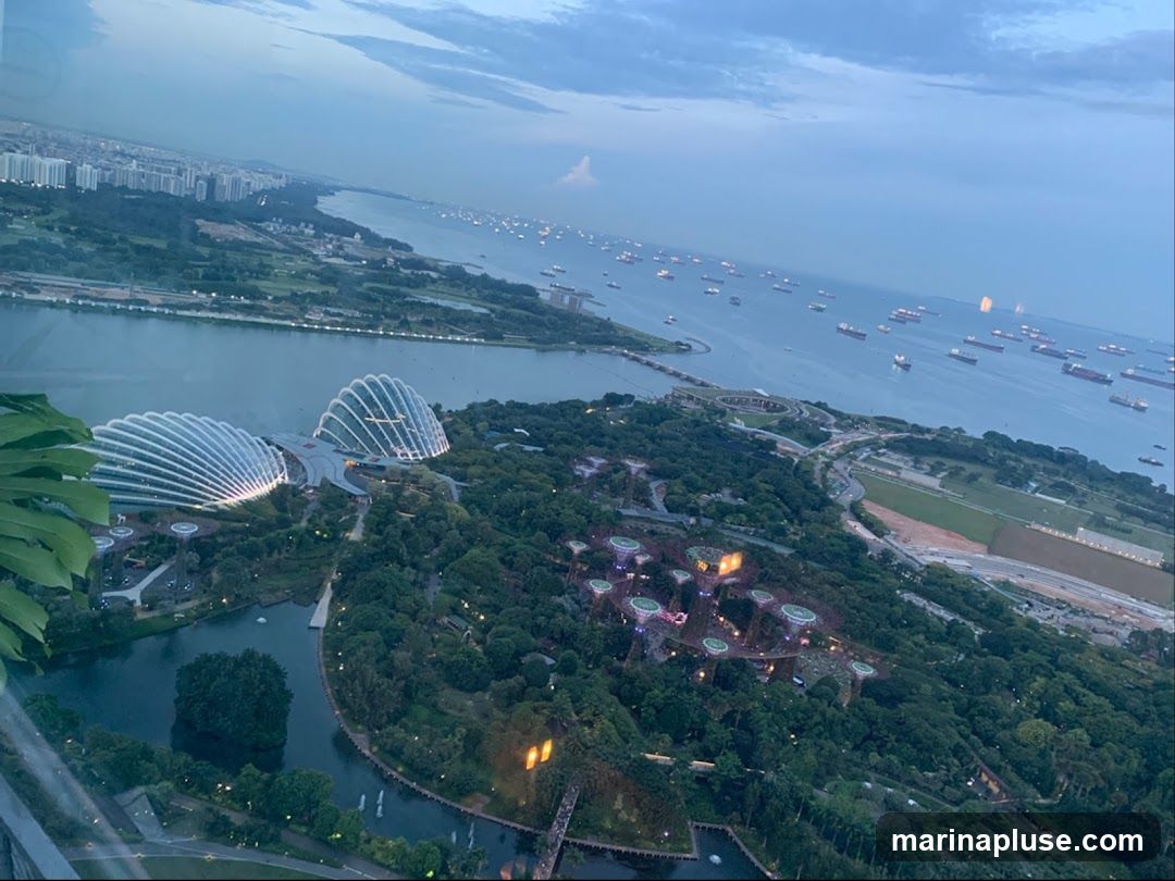 An aerial view of Gardens by the Bay in Singapore during twilight. The iconic Supertree Grove and the Cloud Forest and Flower Dome conservatories are visible, illuminated against the darkening sky. The Singapore Strait, dotted with numerous cargo ships, stretches into the distance, with the city skyline on the horizon.