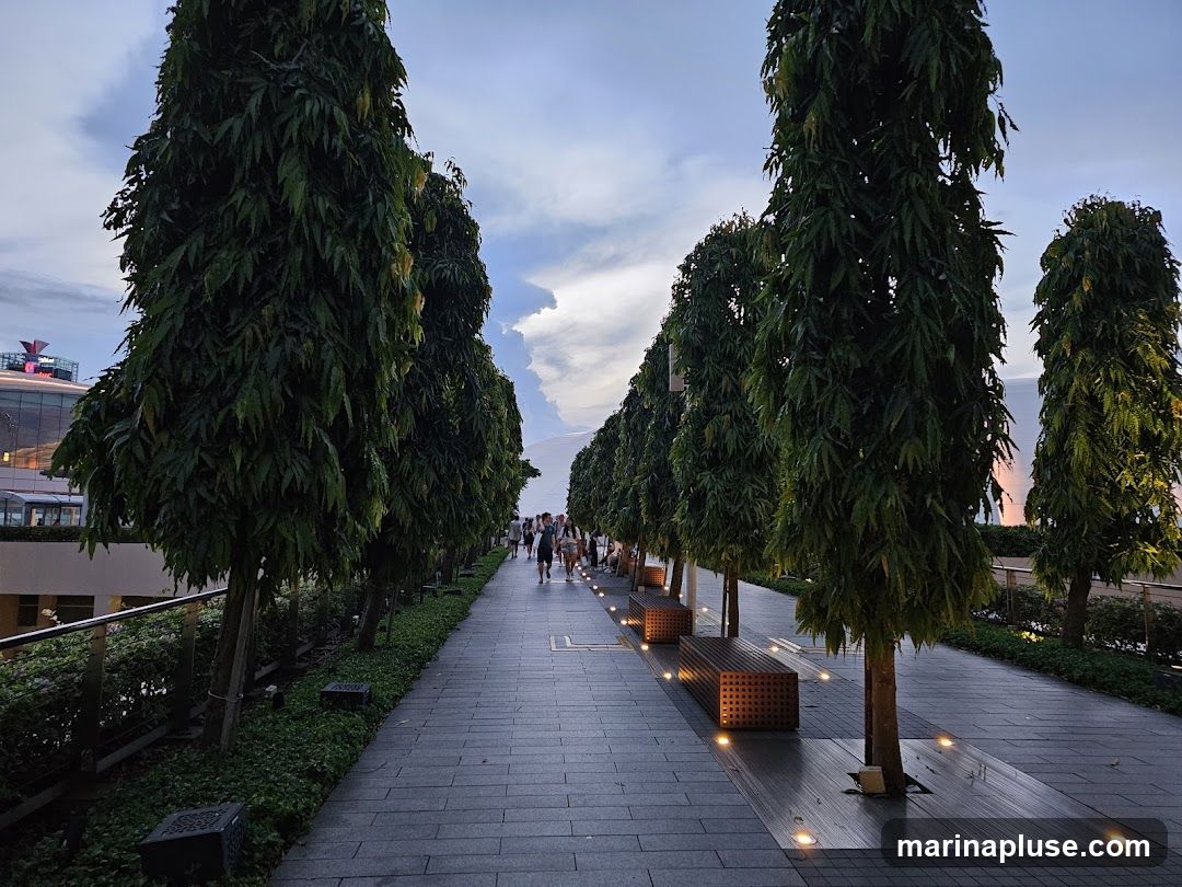 A paved walkway lined with tall, slender trees and modern benches. The walkway is illuminated by small lights embedded in the ground. In the background, a building with a prominent red logo is visible, along with a cloudy sky. Several people are walking along the path.