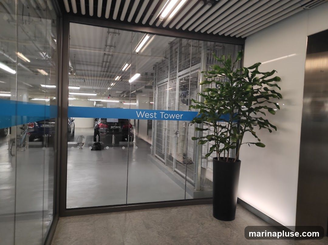 A view through a glass wall into a parking garage. A blue stripe with the words "West Tower" is visible on the glass. Inside the garage, cars are parked, and there are metal cages. To the right of the glass, a tall potted plant stands next to a white wall and an elevator.