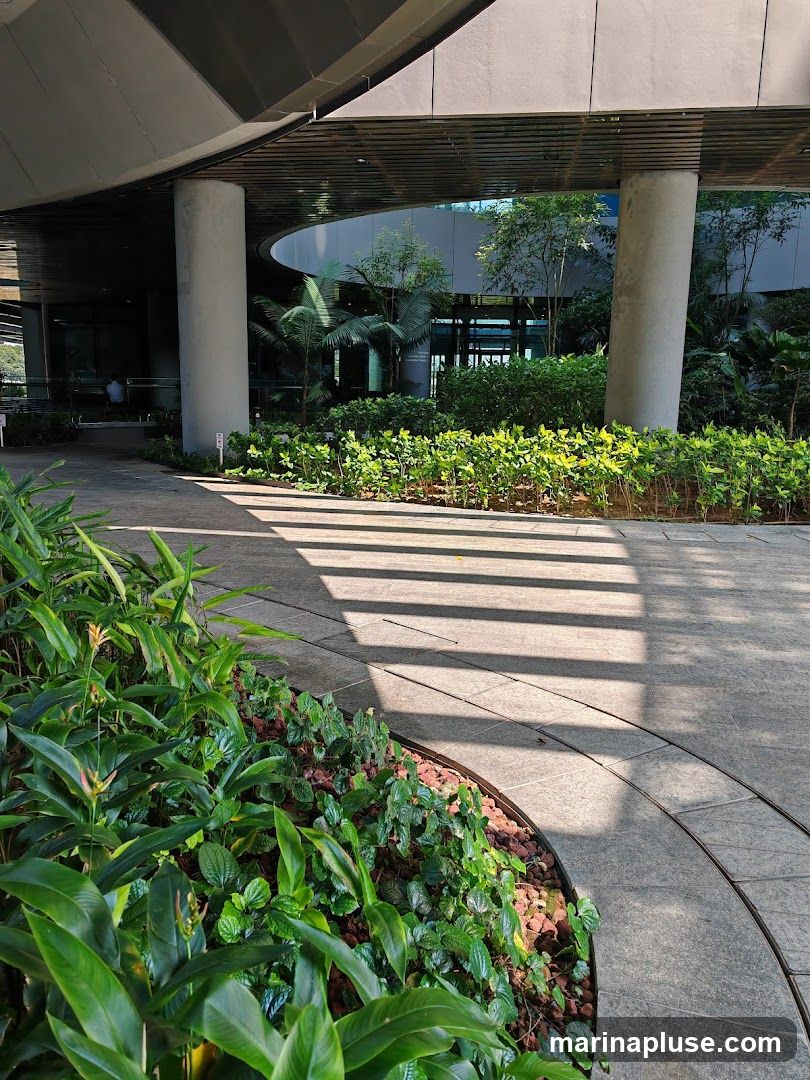 A sunlit pathway curves around a landscaped garden featuring lush green plants and tropical foliage. The pathway is paved with stone tiles, and the scene is framed by the modern architecture of a building with large pillars and a curved overhang. Sunlight casts distinct shadows across the pathway, highlighting the interplay of light and shadow. In the background, the building's glass facade reveals glimpses of greenery within.