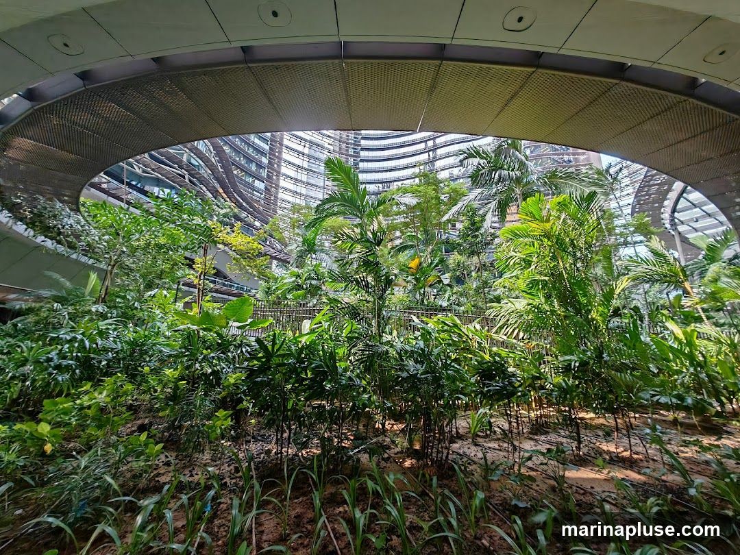 A lush indoor garden filled with various tropical plants, including palm trees and dense foliage. The garden is situated beneath a modern, curved architectural structure with a perforated metal ceiling. In the background, contemporary buildings with curved facades are visible through the open structure, suggesting an urban atrium or a large indoor public space.