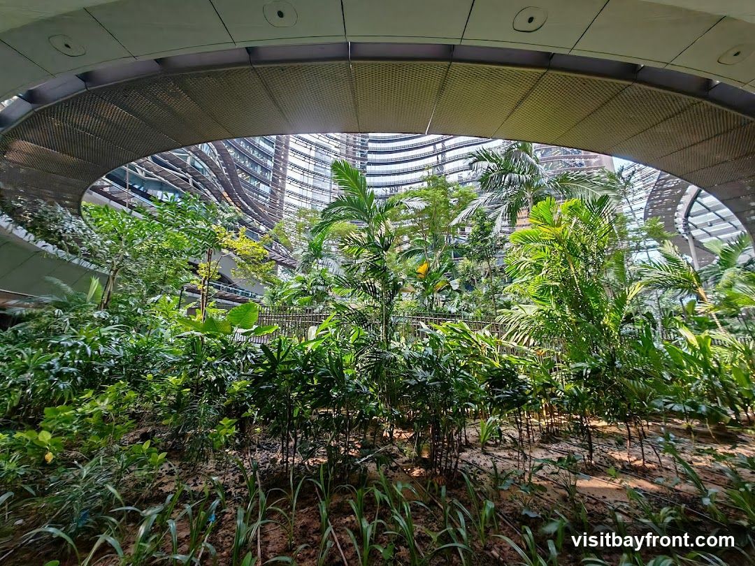 A lush indoor garden filled with various tropical plants, including palm trees and dense foliage. The garden is situated beneath a modern, curved architectural structure with a perforated metal ceiling. In the background, contemporary buildings with curved facades are visible through the open structure, suggesting an urban atrium or a large indoor public space.