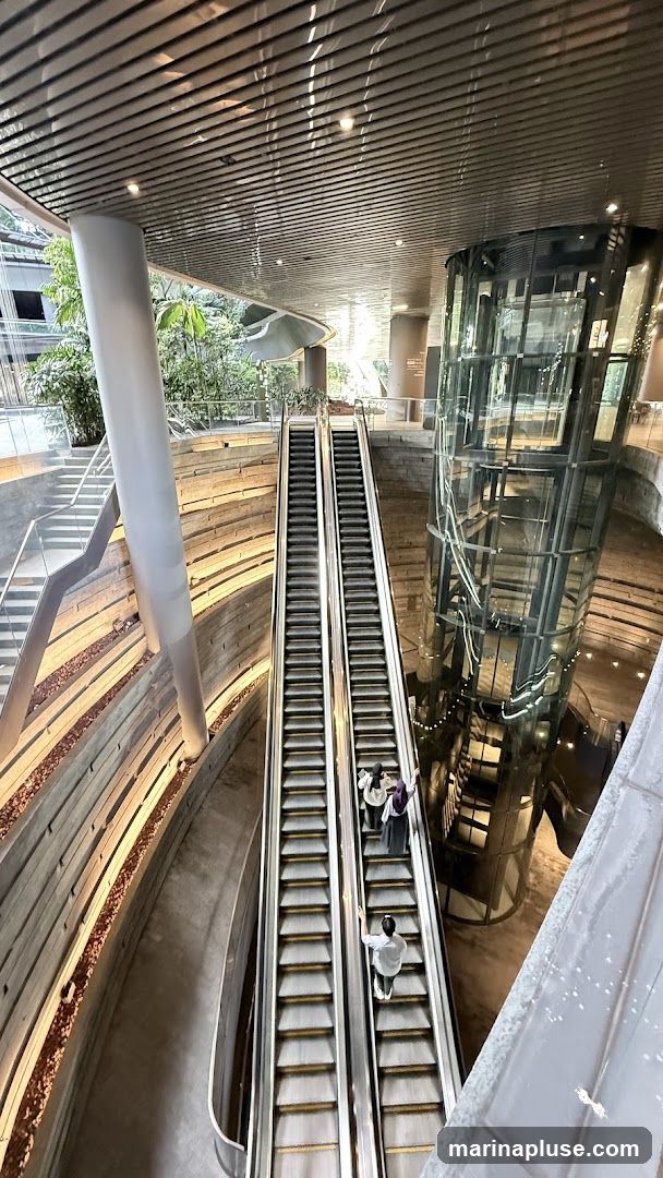 An interior view of a modern building featuring two escalators side-by-side, with several people using them. To the right, a cylindrical glass elevator shaft is visible, illuminated from within. The architecture includes a slatted ceiling, large white columns, and tiered, textured walls. Greenery can be seen through windows in the background, suggesting an atrium or outdoor view.