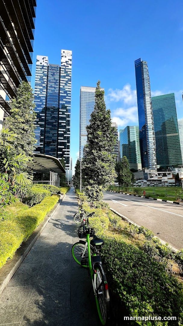 A sunny day in a modern city with tall glass skyscrapers. A paved walkway runs alongside a road, bordered by manicured green bushes and trees. Several shared bicycles, predominantly green, are parked along the walkway. The sky is clear blue with a few scattered clouds.