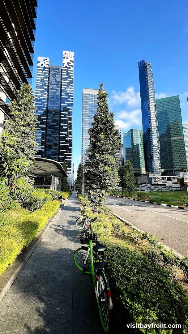 A sunny day in a modern city with tall glass skyscrapers. A paved walkway runs alongside a road, bordered by manicured green bushes and trees. Several shared bicycles, predominantly green, are parked along the walkway. The sky is clear blue with a few scattered clouds.