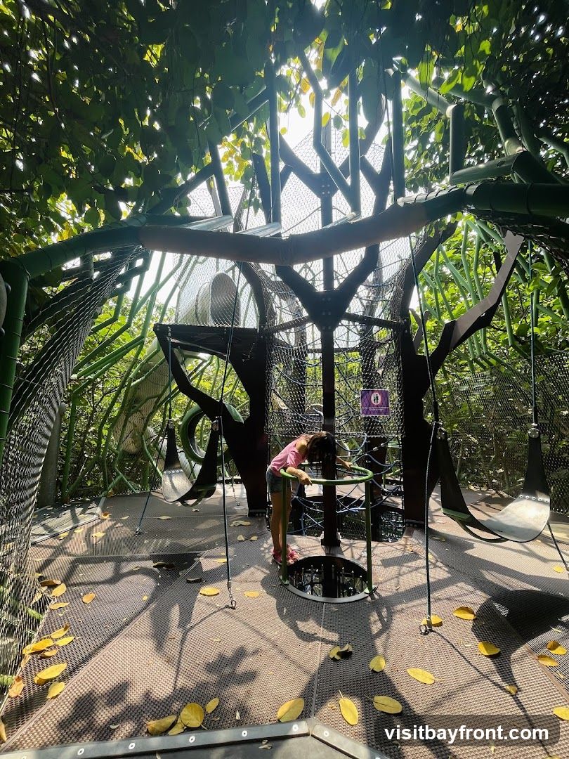 A young girl stands on a metal platform within a large, jungle-themed playground structure. The structure is made of metal beams and netting, with large leaf-like shapes and hanging swings. Sunlight filters through the surrounding trees and foliage, casting shadows on the platform, which is scattered with fallen leaves. A sign with a purple icon is visible on a post in the background.