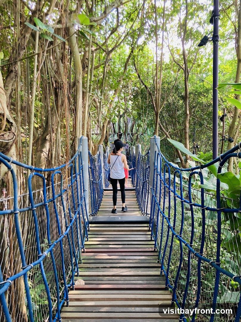 A person walks across a wooden suspension bridge with blue rope railings, surrounded by dense green foliage and hanging vines. The sunlight filters through the trees, creating a dappled effect on the bridge.