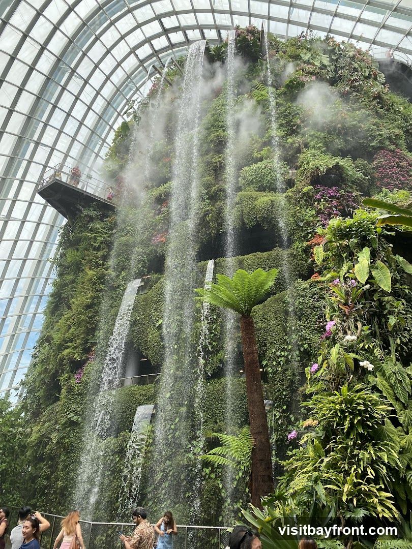 A lush indoor garden featuring a tall, multi-tiered waterfall cascading down a verdant wall of plants. A walkway is visible on the left, with people observing the scenery. A tall palm-like tree stands in the foreground. The space is covered by a large, arched glass roof.