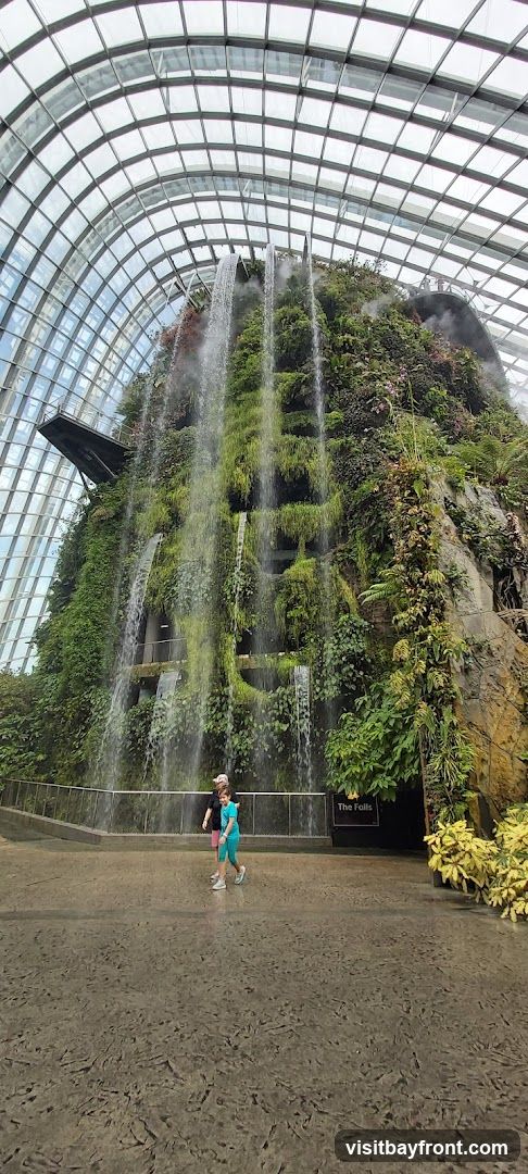 An indoor botanical garden features a massive, multi-tiered waterfall cascading down a lush, green rock face. The structure is enclosed by a curved glass and metal ceiling. Two children are walking on the paved ground in front of the waterfall. A sign reads "The Falls".