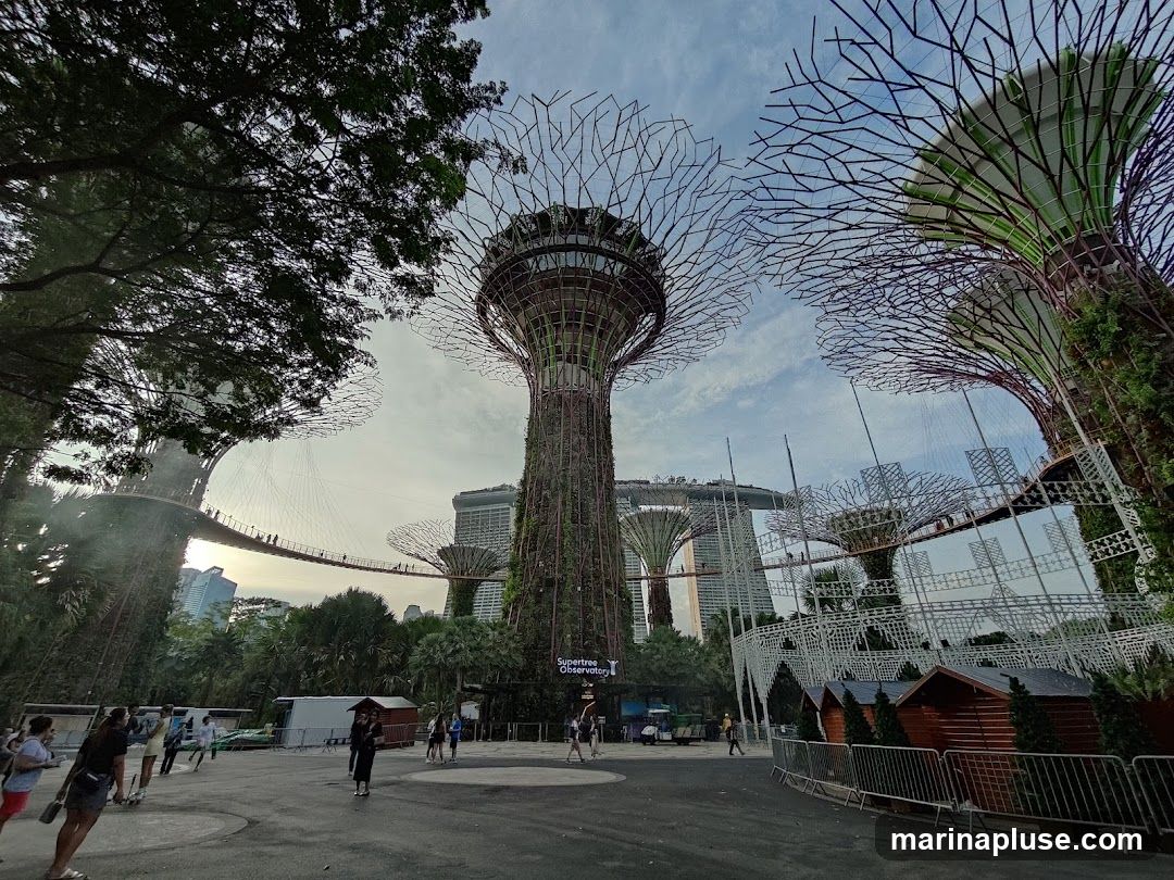 A wide shot of the Supertree Grove at Gardens by the Bay, Singapore. The iconic vertical gardens are covered in plants and illuminated by the setting sun. A skywalk connects some of the Supertrees, with people visible walking on it. In the background, the Marina Bay Sands hotel complex can be seen. Several smaller wooden structures with white fencing are in the foreground.