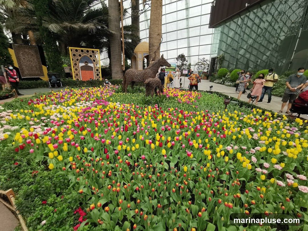A vibrant display of tulips in various shades of yellow, pink, and red fills the foreground. Behind the flowers, two wire sculptures of horses, one adult and one foal, stand prominently. In the background, there are decorative panels with Islamic geometric patterns and a small domed structure. Several people are observing the display, some wearing masks. The scene is set within a large greenhouse with a glass ceiling and walls, suggesting an indoor botanical garden or exhibition.