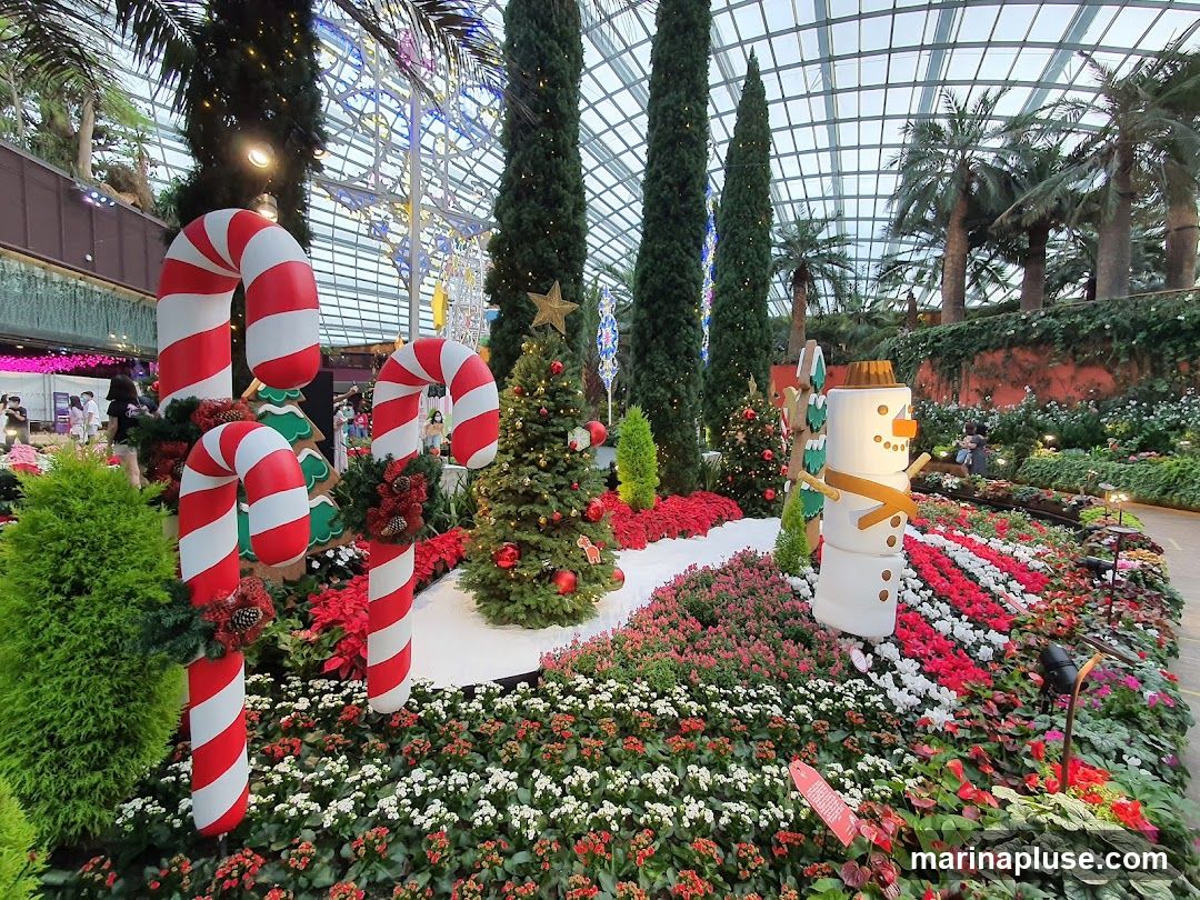 A festive Christmas display in a garden setting, featuring large candy canes, a snowman decoration, and Christmas trees surrounded by abundant flowers and greenery. The scene is set under a glass-domed ceiling, with palm trees and other tall plants visible in the background.