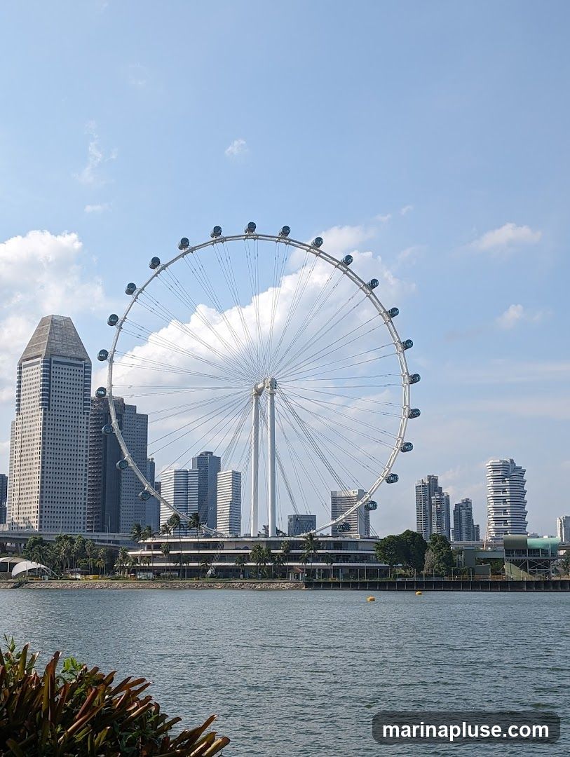 A wide shot of the Singapore Flyer Ferris Wheel against a bright blue sky with scattered clouds. The Ferris wheel is large and white, with many gondolas. In the background, there is a cityscape with tall buildings and a body of water in the foreground. Lush green plants are visible in the bottom left corner.