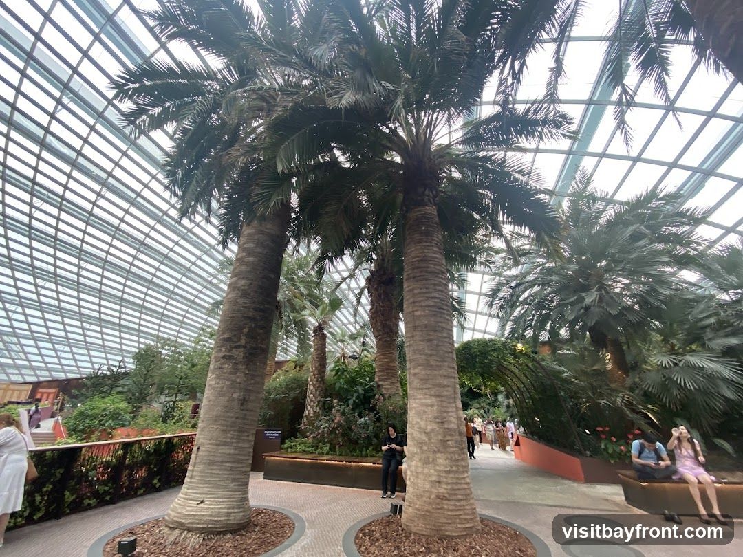 A view inside a large greenhouse with a geodesic dome ceiling. Several tall palm trees are prominent in the foreground, with lush green foliage and other plants visible in the background. People are walking along a pathway and sitting on benches.