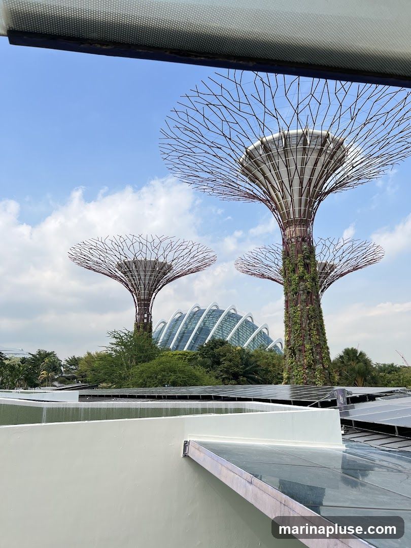 A view of the Supertrees at Gardens by the Bay, Singapore, with the Cloud Forest dome in the background. The foreground shows a white structure with solar panels on top. The sky is blue with scattered clouds.
