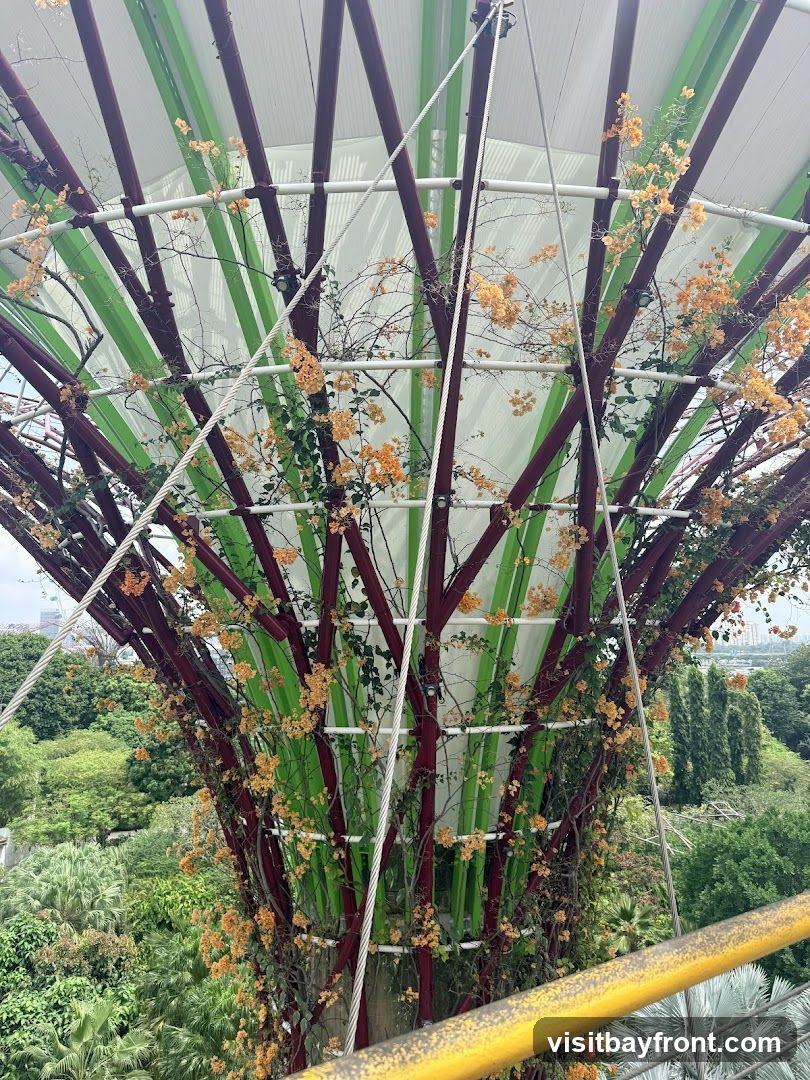 OCBC Skyway