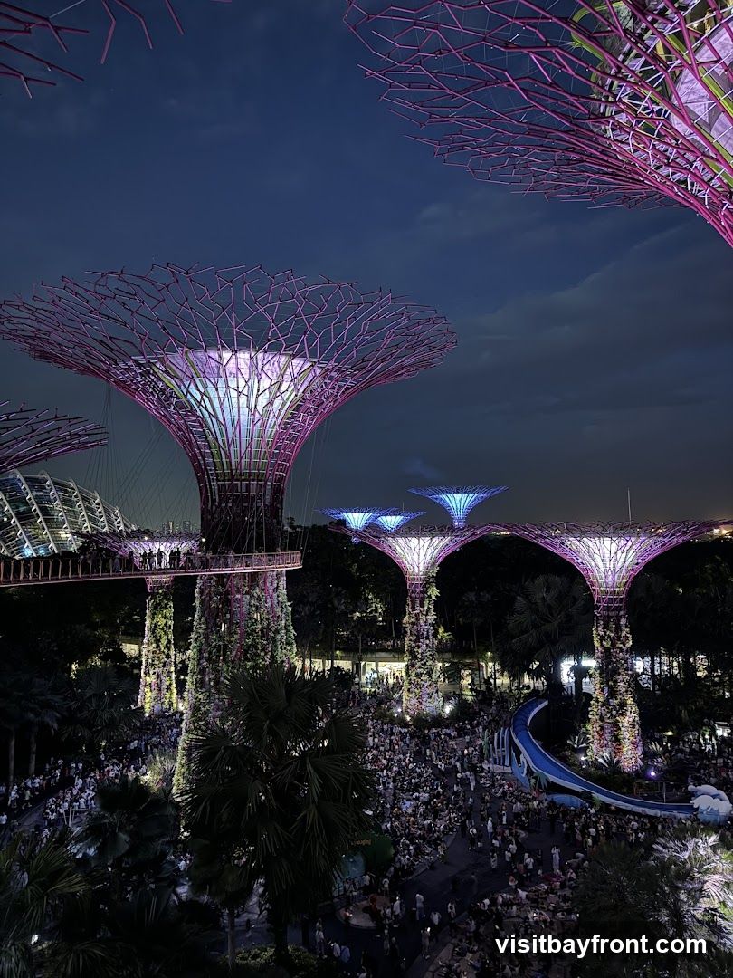 OCBC Skyway