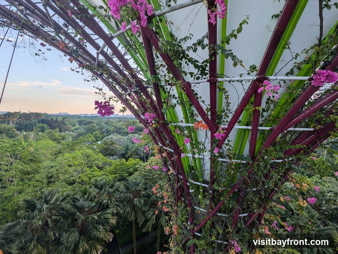 OCBC Skyway
