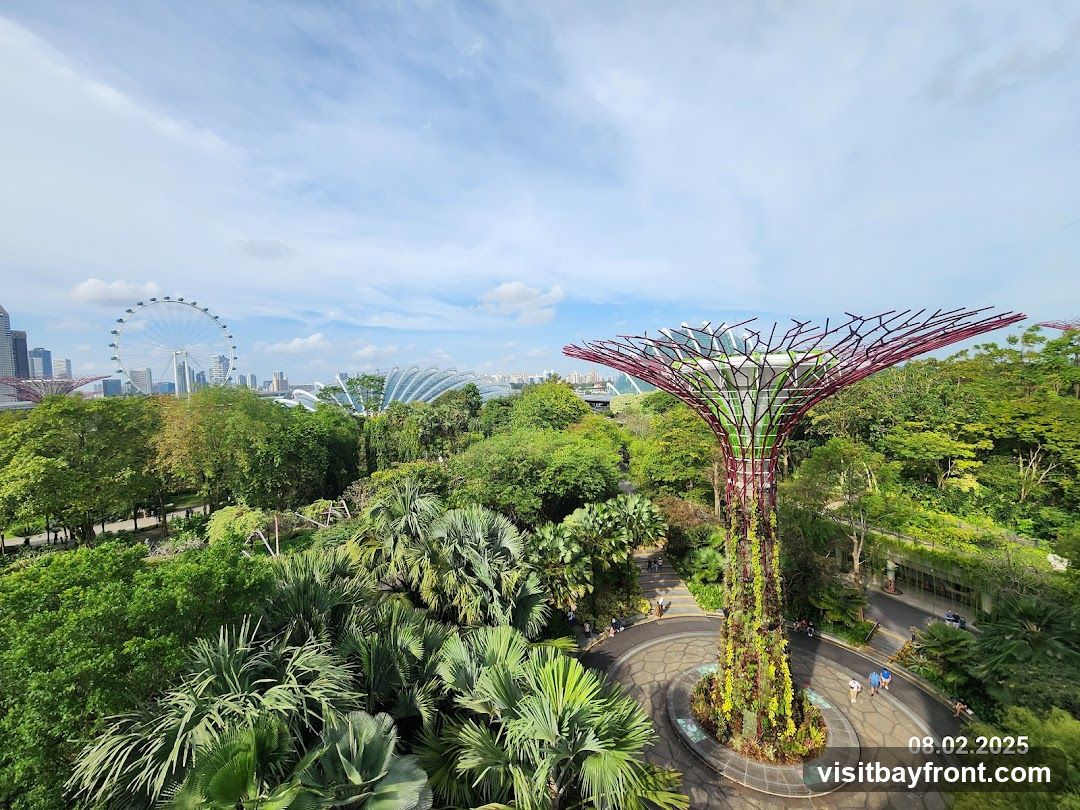 A panoramic view of Gardens by the Bay in Singapore, featuring the iconic Supertree Grove in the foreground. In the background, the Singapore Flyer Ferris wheel and the domes of the Cloud Forest and Flower Dome are visible, along with the city skyline. The image is dated 08.02.2025.