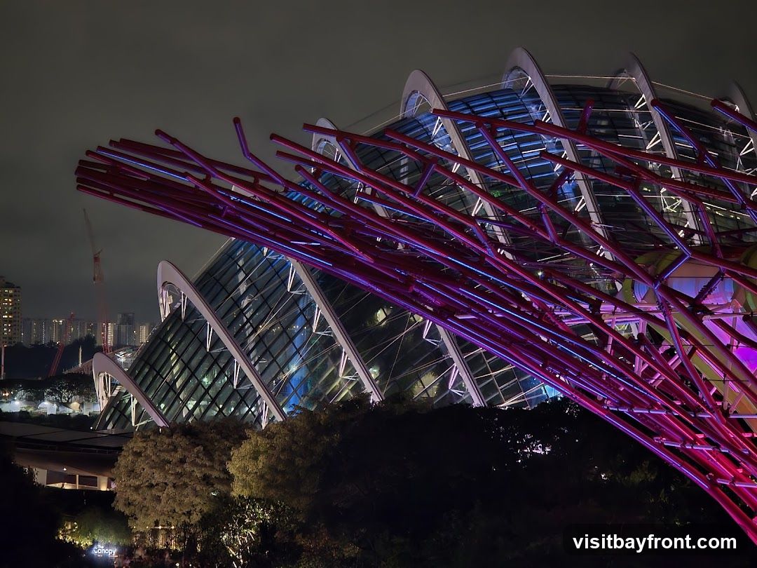 A nighttime view of the futuristic domes of Gardens by the Bay, Singapore. The structures are illuminated with vibrant pink and blue lights, creating a striking contrast against the dark sky. In the background, city lights and construction cranes are visible. Lush trees and foliage are in the foreground, partially obscuring the view of the domes.