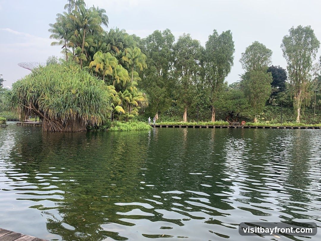 A serene view of a garden with a calm body of water in the foreground. Lush green vegetation, including palm trees and dense foliage, lines the far bank of the water. A wooden walkway runs along the edge of the water, with a few people strolling on it. In the distance, a distinctive futuristic structure, possibly part of a larger garden complex, is visible. The sky is overcast, casting a soft light over the scene.