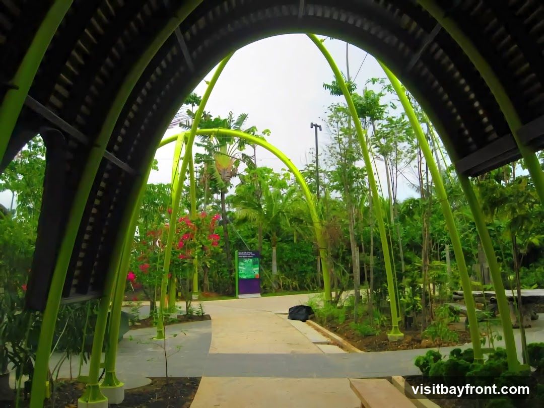 A view through a green, arched structure into a lush garden. The structure has a dark, ribbed ceiling and bright green, curved supports resembling bamboo. Beyond the arch, a paved pathway leads through a garden filled with various trees, plants, and flowering bushes. A sign with green and purple elements is visible in the distance.
