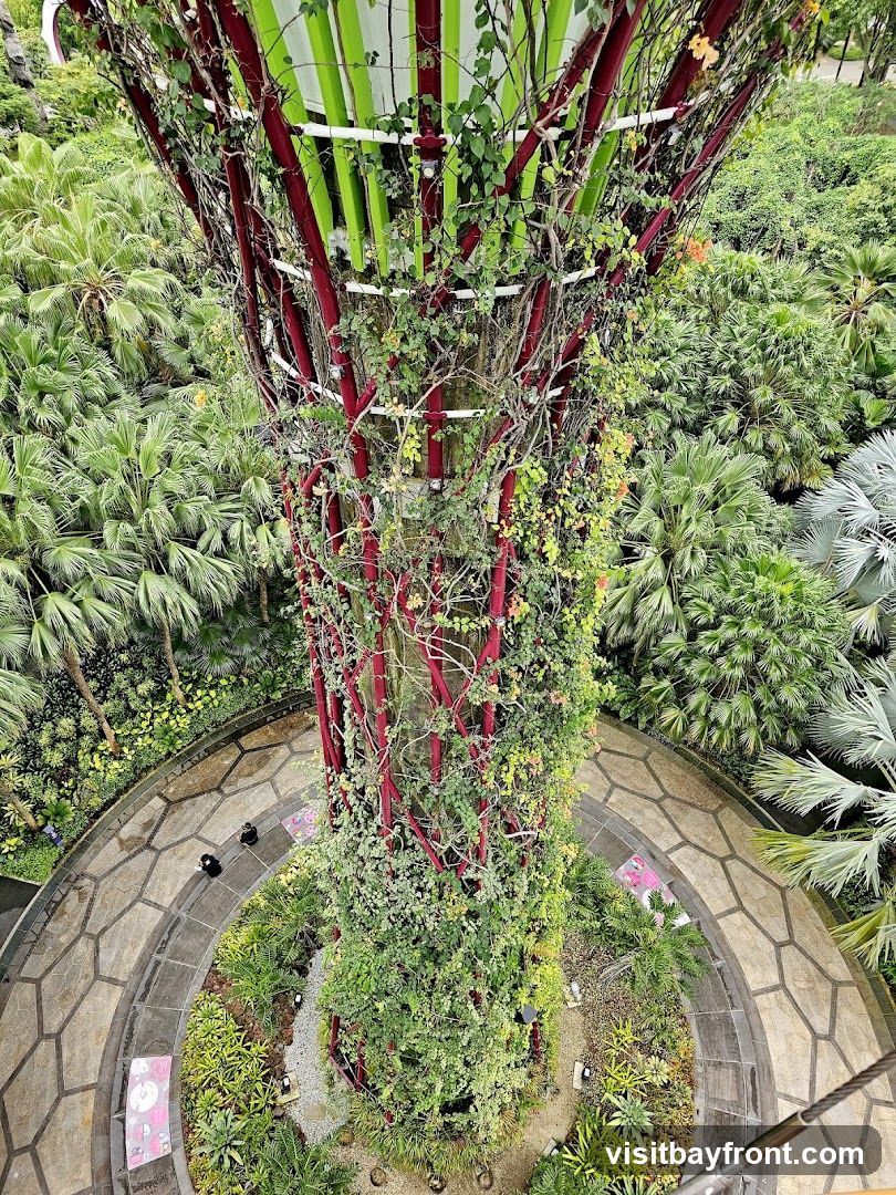 A view from above of a large, tree-like structure covered in vines and greenery. The structure has a central core with red, vertical supports and green and white striped elements at the top. It is surrounded by a lush garden with various types of palm trees and other tropical plants. A paved pathway with a hexagonal pattern curves around the base of the structure, with a few people walking on it.
