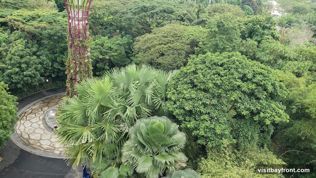 An aerial view of a dense, verdant garden filled with various types of trees and plants. A tall, red and green lattice-like structure, possibly a vertical garden or observation tower, is visible on the left. A paved circular area with stone patterns is at the base of the structure, with a few people visible. The surrounding area is dominated by lush foliage, including large palm trees and bamboo.