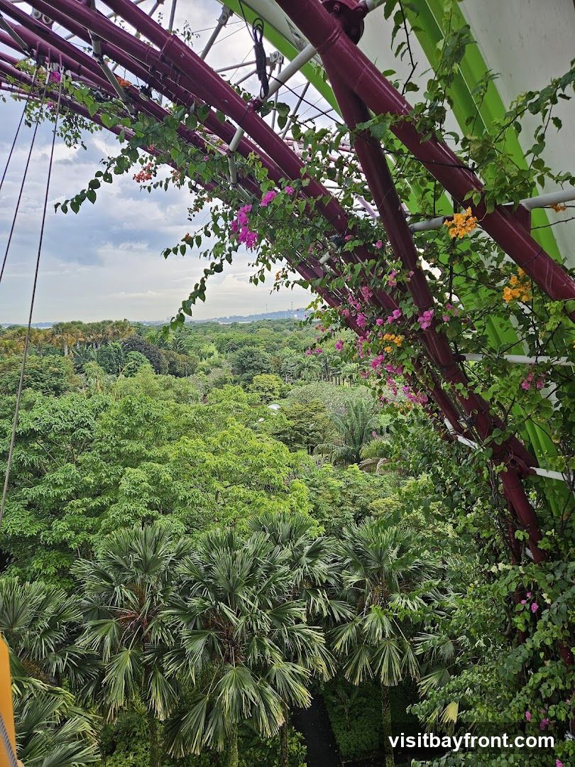 A view from above looking out over a dense, verdant landscape of trees and palm fronds. A metal structure, painted red and green, forms a canopy overhead, adorned with vibrant pink and orange bougainvillea flowers and green vines. The sky is overcast with scattered clouds.