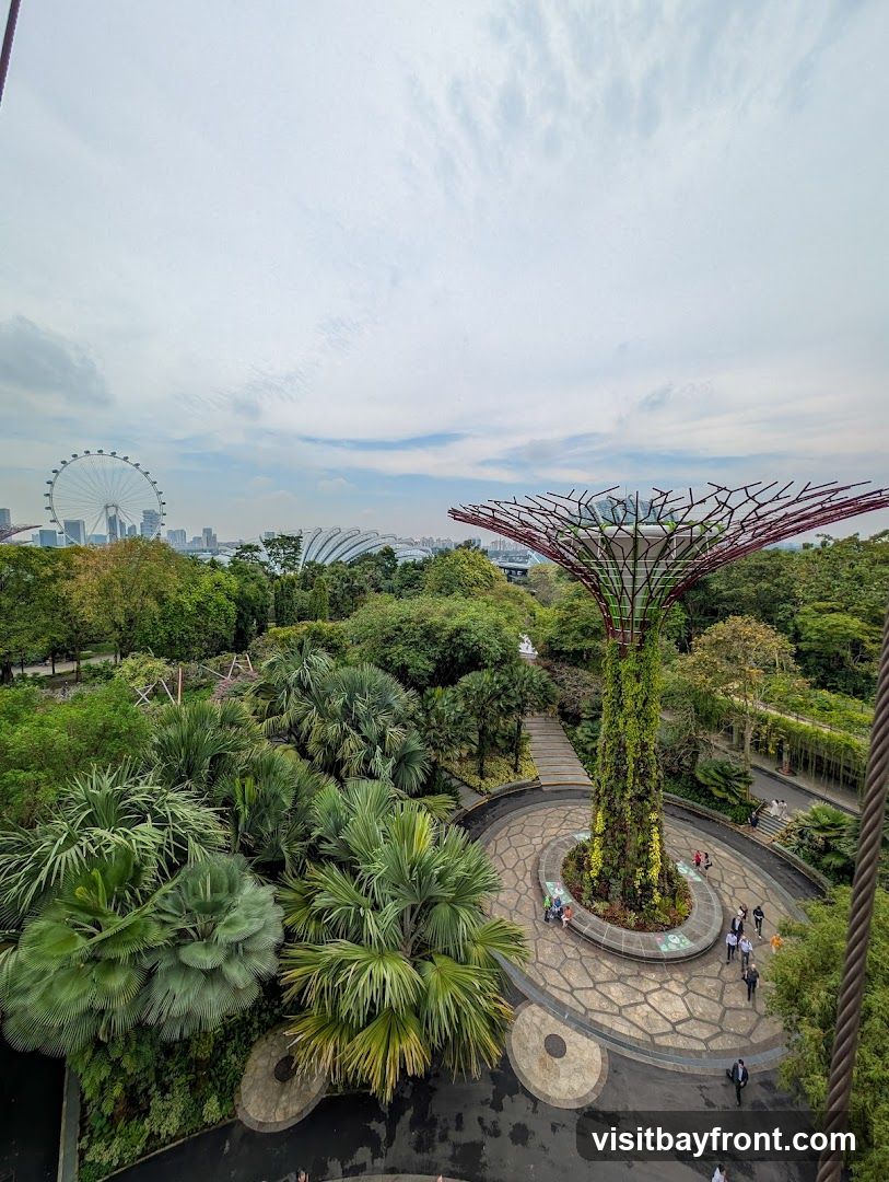 An aerial view of Gardens by the Bay in Singapore, featuring the iconic Supertree Grove, lush greenery, and distant city skyline with a Ferris wheel.