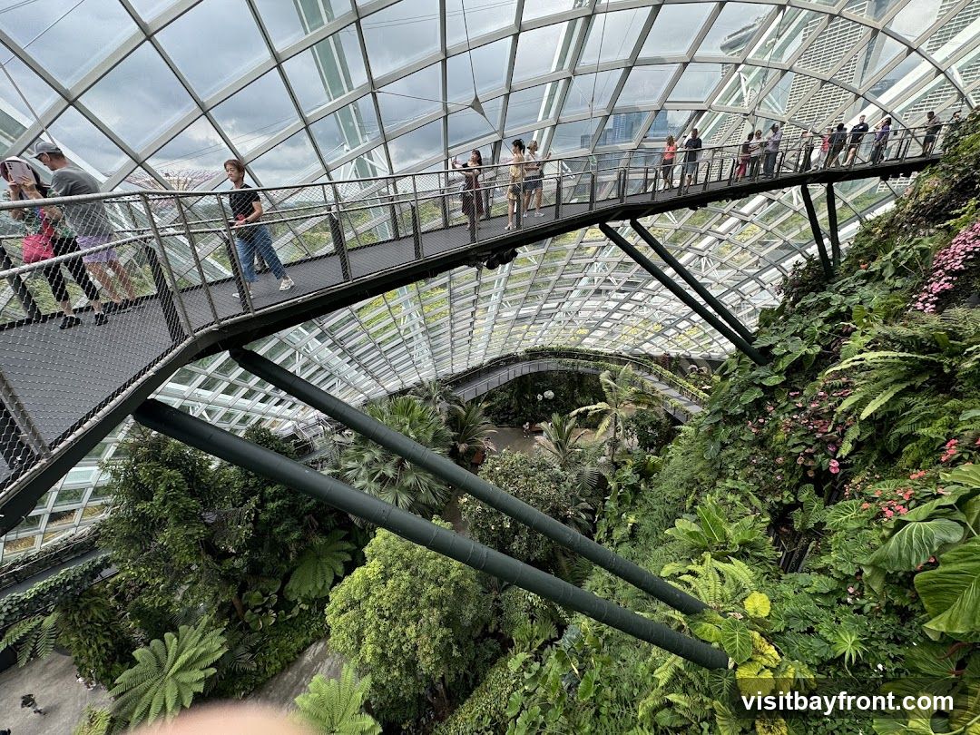 A group of people walk along a metal walkway suspended above a lush indoor botanical garden. The walkway is enclosed by a glass and metal geodesic dome structure. The garden below features a variety of tropical plants, including ferns and flowering plants, with a winding path visible in the distance.