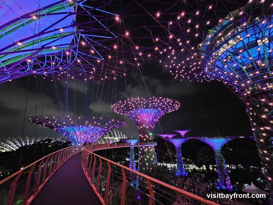 A walkway curves through a futuristic garden illuminated by vibrant purple and blue lights. Large, tree-like structures are covered in glowing lights, and a canopy of smaller lights stretches overhead. The scene is set against a dark night sky, with a crowd visible in the distance below.