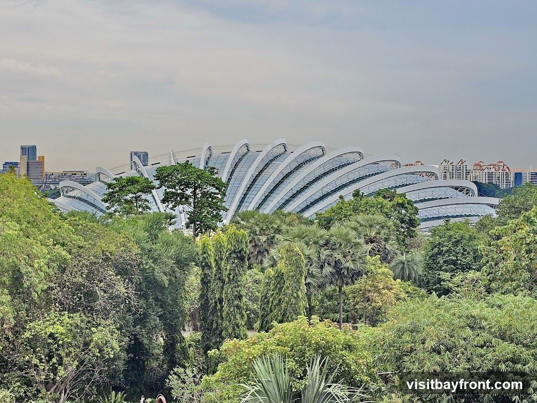 A panoramic view of the iconic domes of Gardens by the Bay in Singapore, seen through lush green foliage. The futuristic, curved structures of the conservatories are visible in the background, contrasting with the dense tropical trees and plants in the foreground. The sky above is overcast.