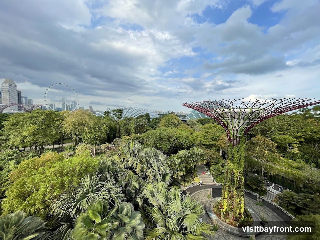 An aerial view of Gardens by the Bay in Singapore, featuring lush greenery, the iconic Supertree Grove, and the Singapore Flyer in the distance under a cloudy sky.